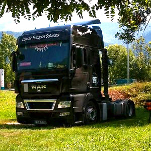 Europaweite LKW-Transporte mit eigenem Fuhrpark